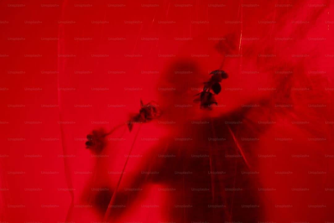 我买了一双巴黎世家什么梗